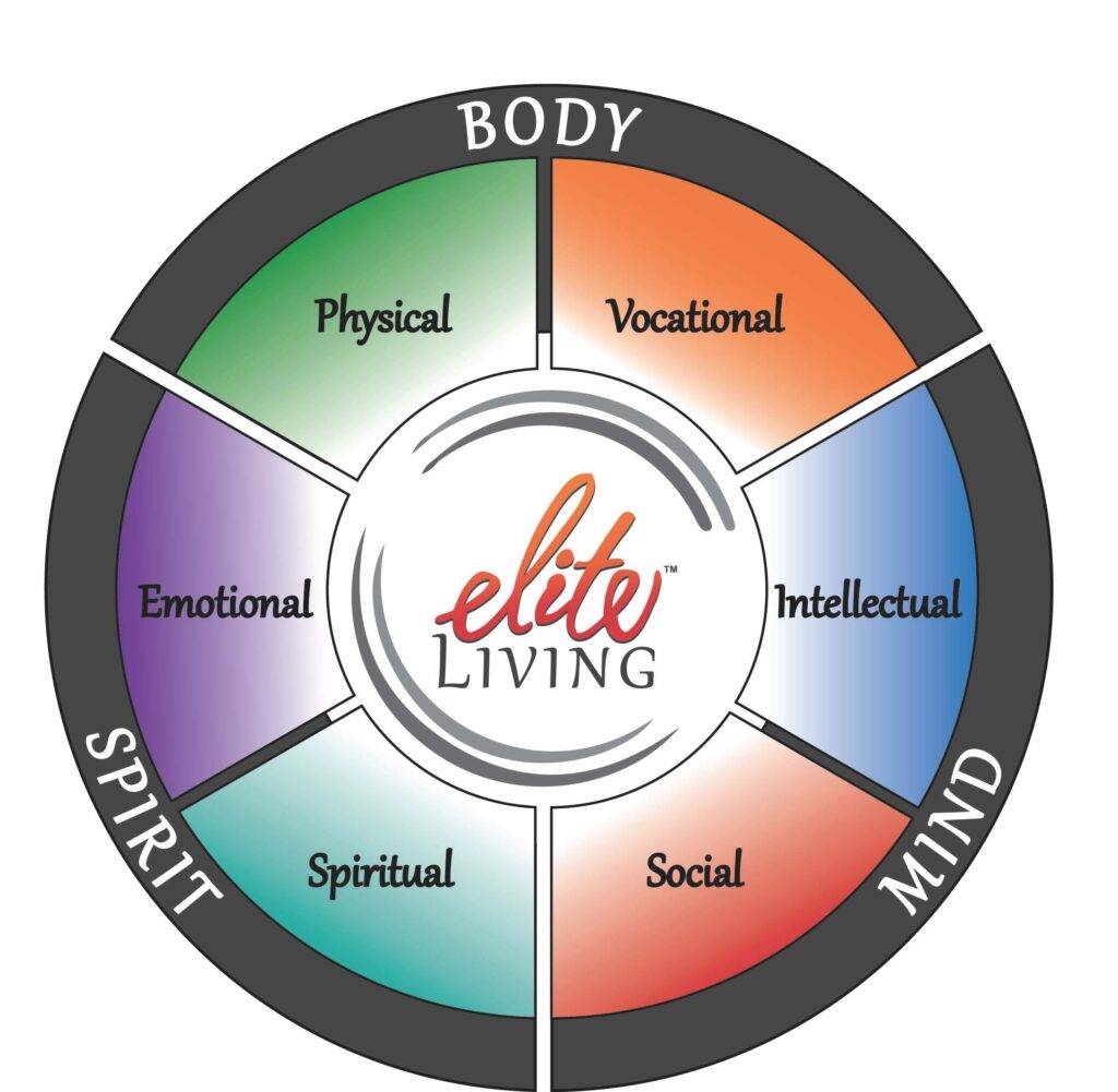 Wellness is achieved when someone is at their best in all 6 dimensions of health ?